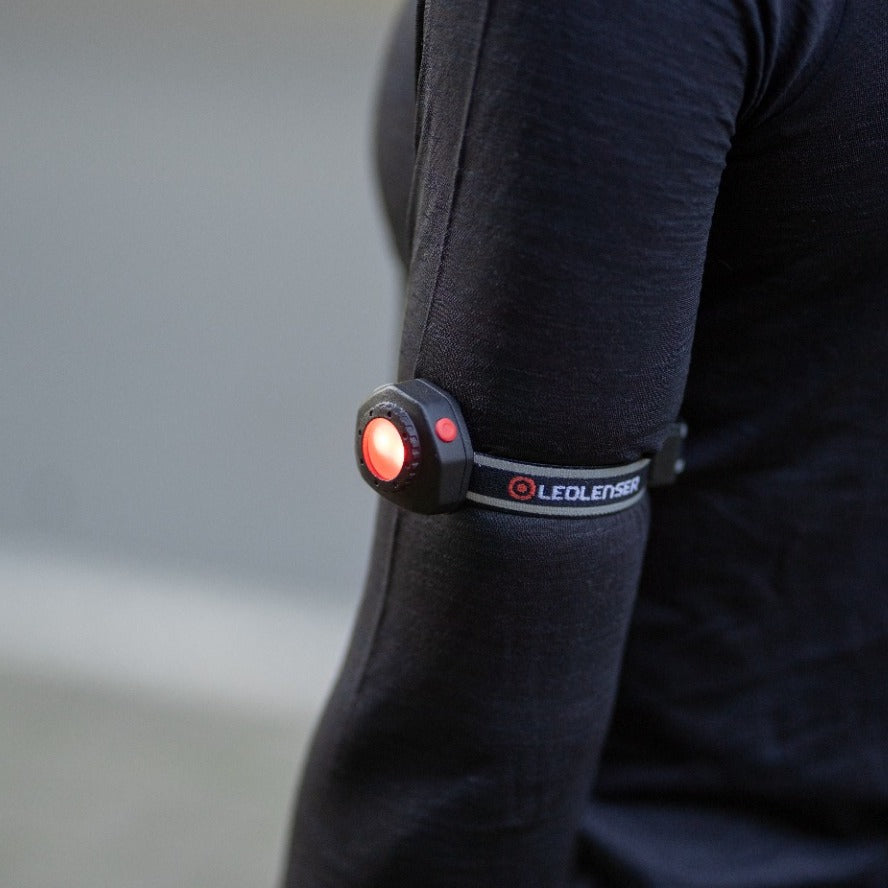 How to keep your dog safe during evening walks