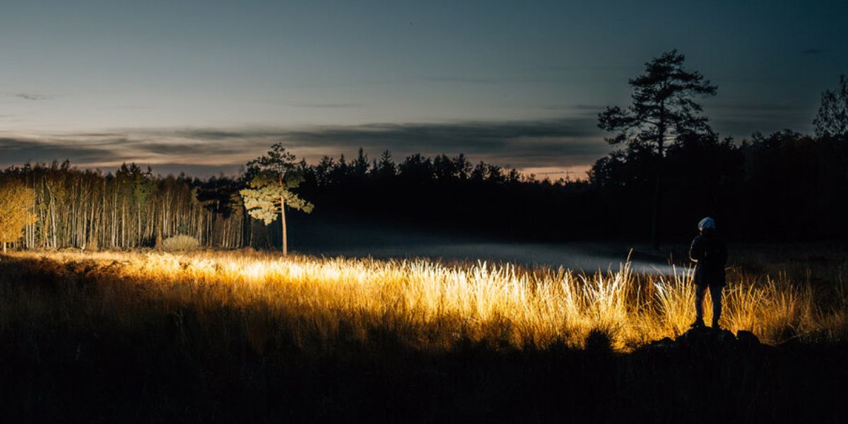 Best Torch for Mountain Rescue & SAR Teams UK | Ledlenser