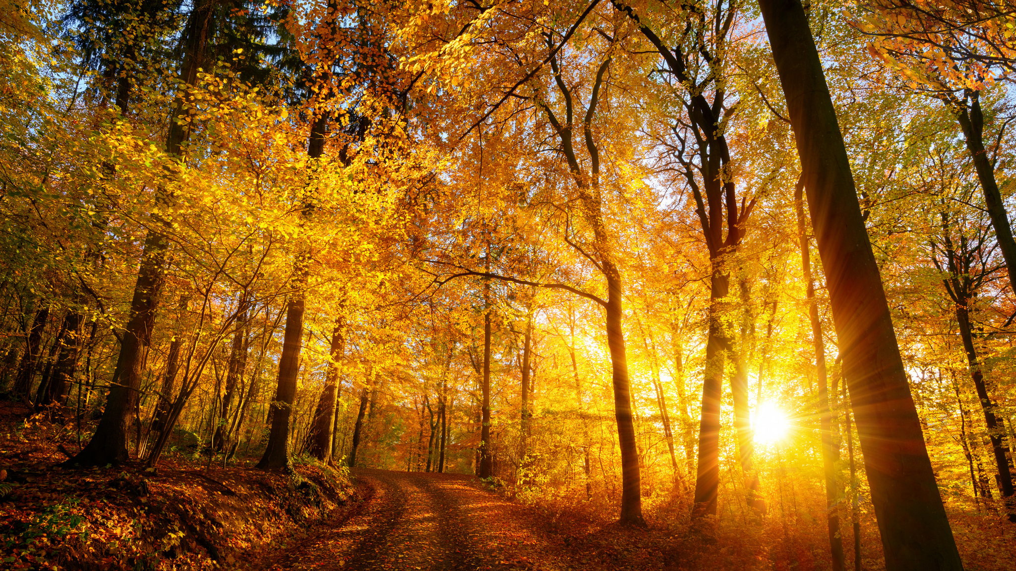 What time does it get dark in october? | Blog – Ledlenser UK