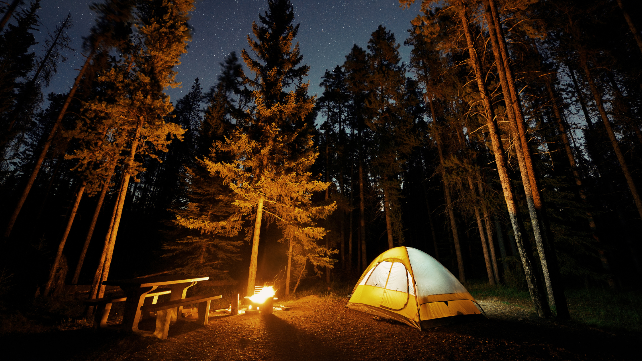What to take camping: 7 essentials