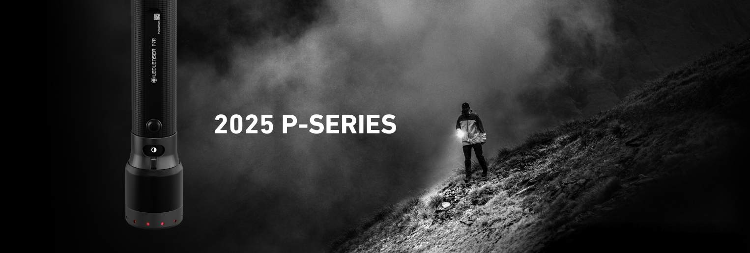 2025 P-Series Torches