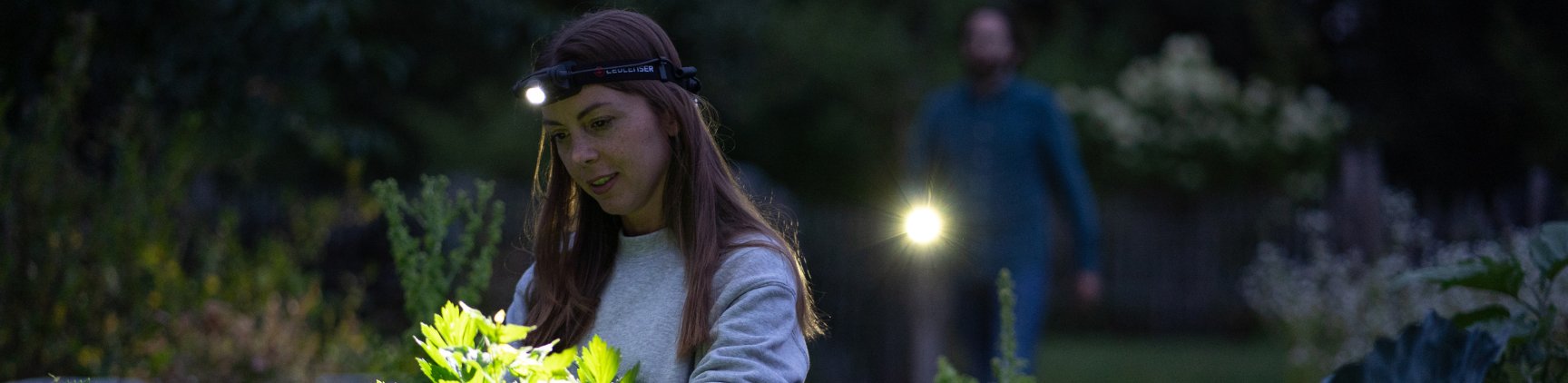 Shop Torches For The Home And For General Use | LedLenser UK
