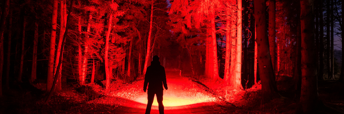Red Light Torches, Head Torches & Lanterns