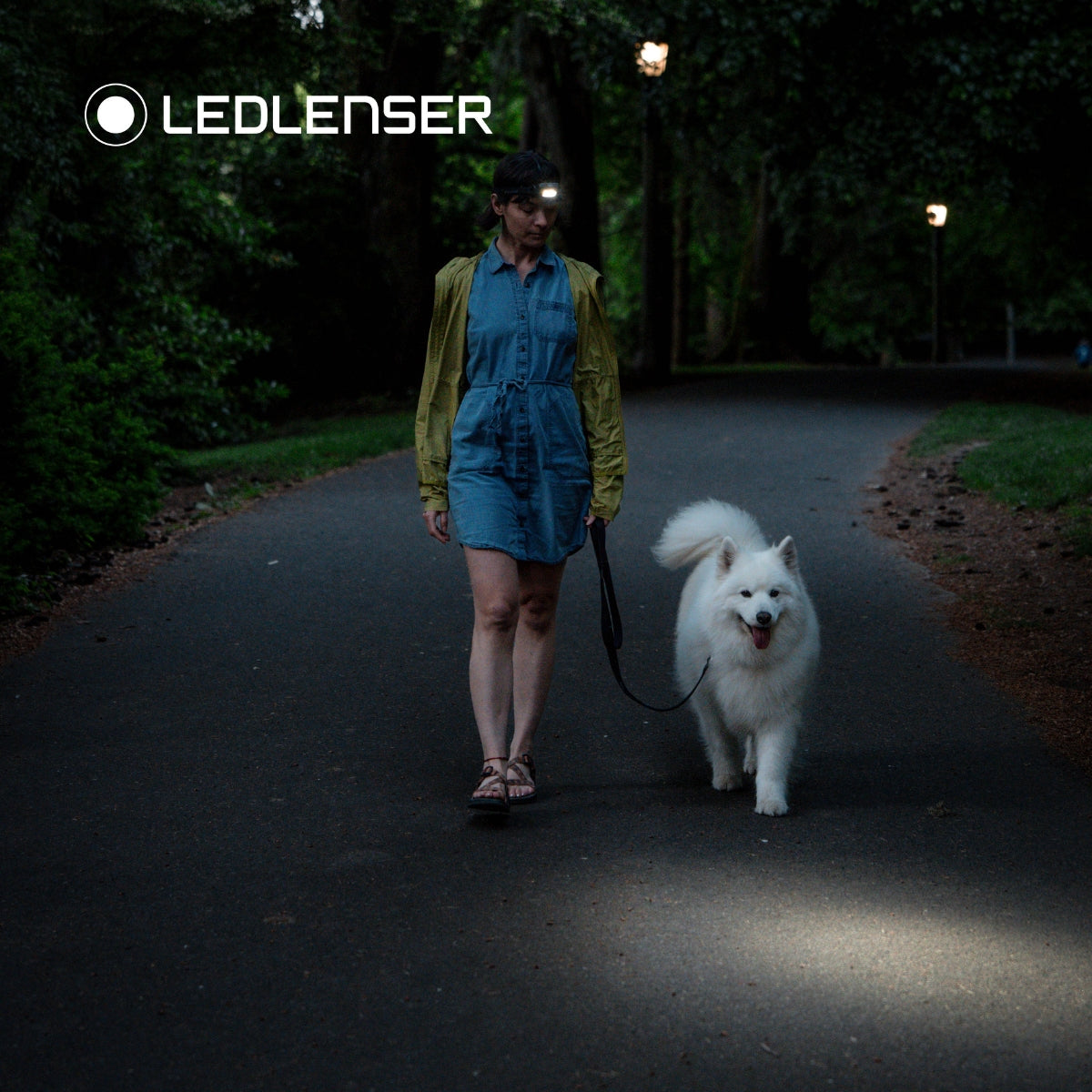 Woman walking her dog in a park while wearing a Ledlenser HF4R headtorch 