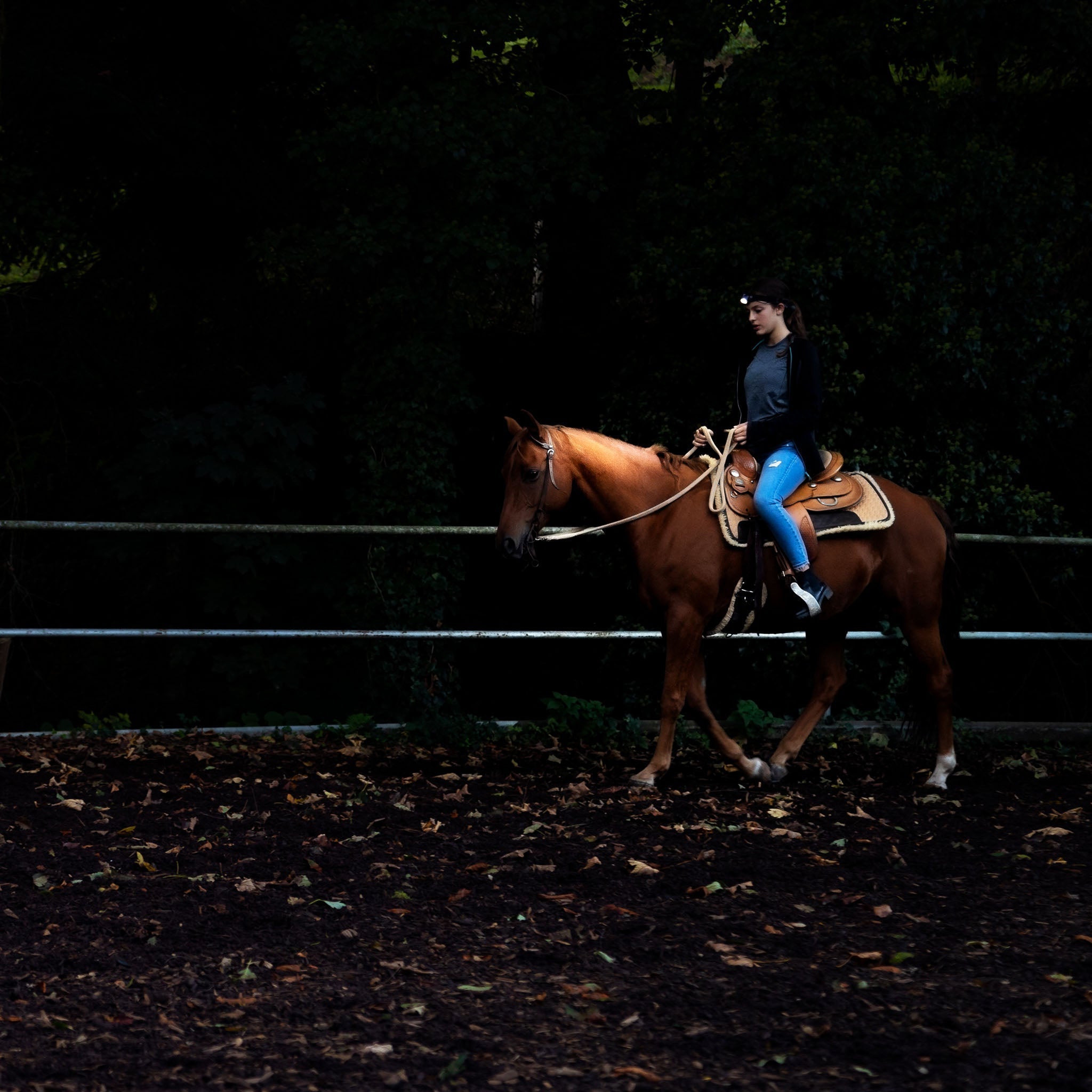 h8r head torch horse rider