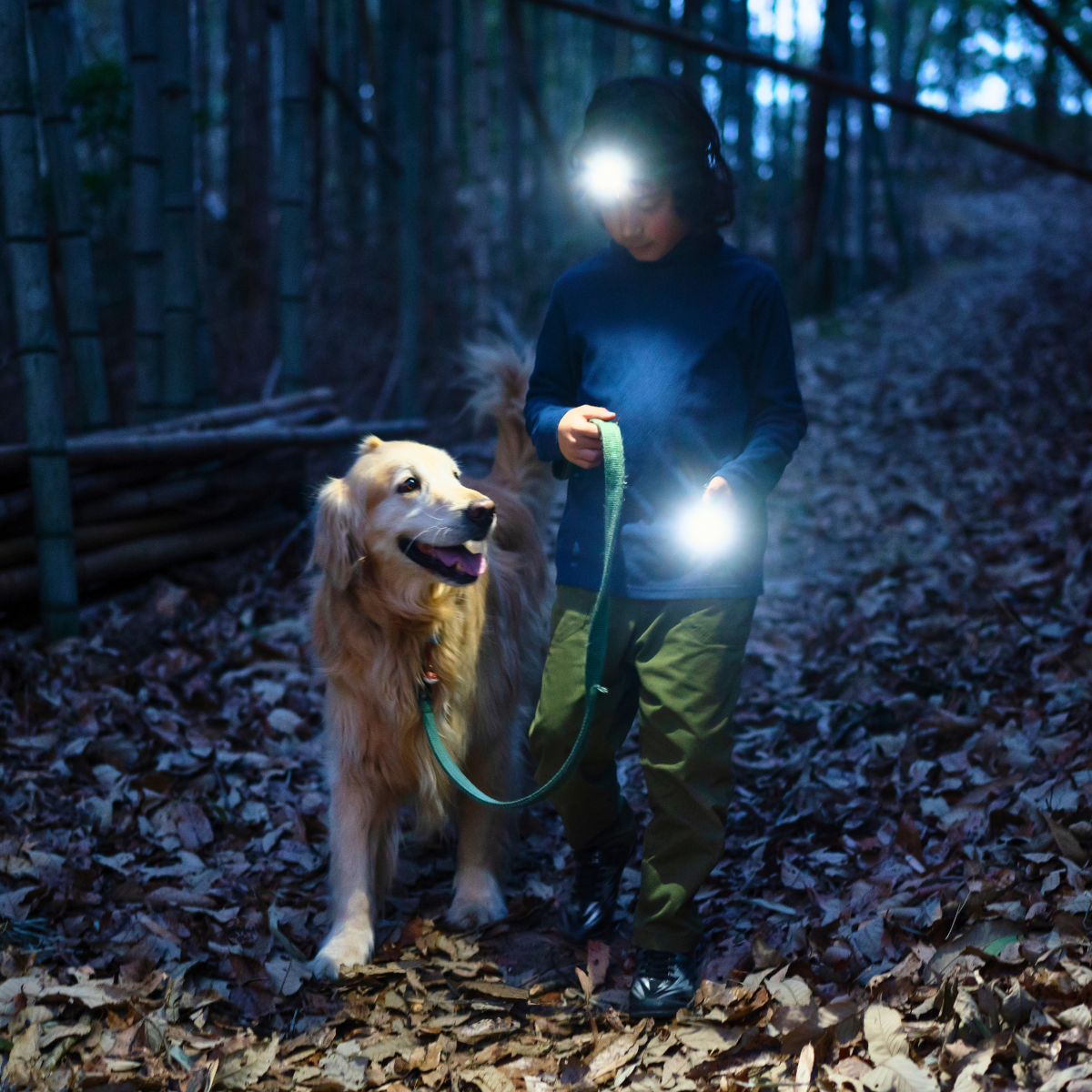 Kids Lights | LED Torches, Head Torches and Lanterns